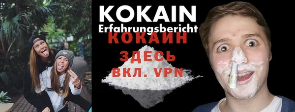 соль ск Каменка