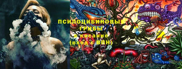 прущая мука Пересвет