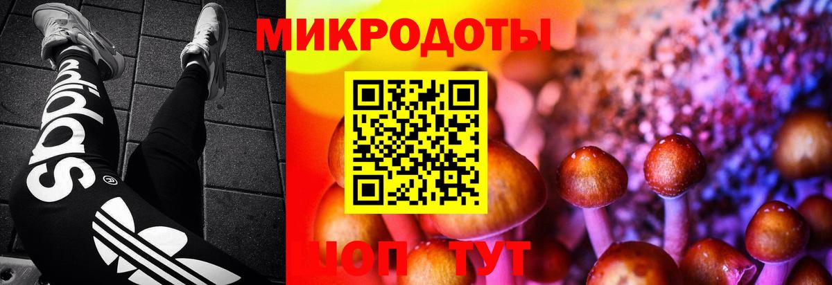 Балашов  Псилоцибиновые грибы MAGIC MUSHROOMS  Вход с VPN  Галлюциногенные грибы Psilocybe 