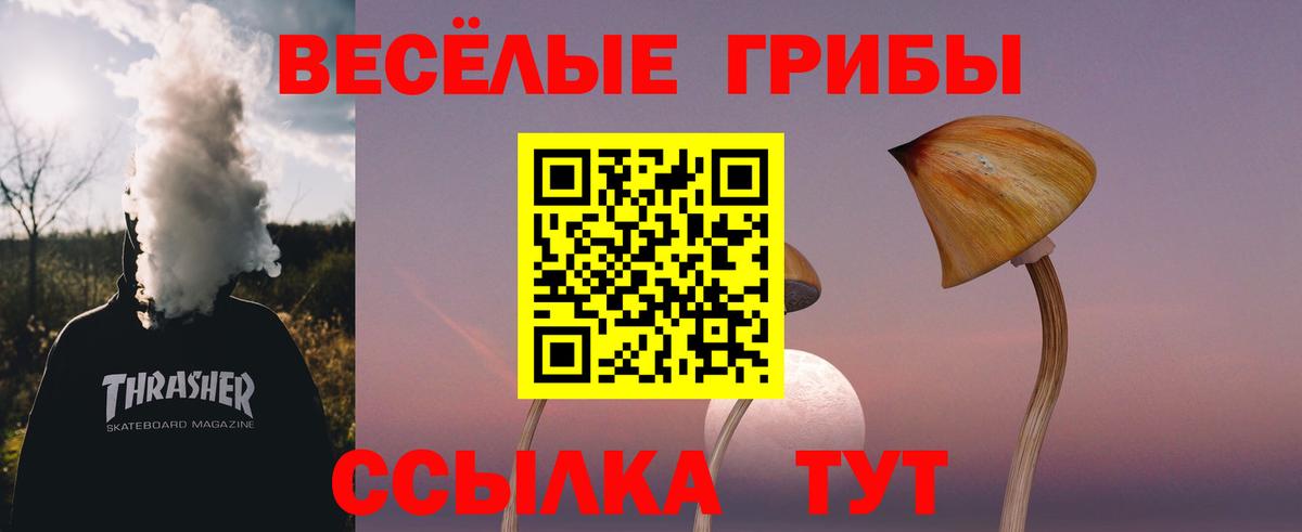 Псилоцибиновые грибы мухоморы Балашов